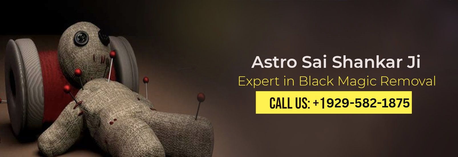 Pandit Sai Shankar Astrology Services Banner